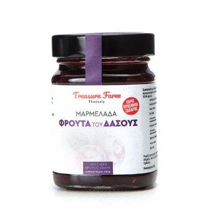 TREASURE FARM ΦΡΟΥΤΑ ΤΟΥ ΔΑΣΟΥΣ ΜΑΡΜΕΛΑΔΑ 250gr.